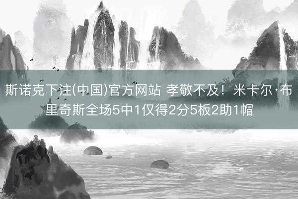 斯诺克下注(中国)官方网站 孝敬不及!米卡尔·布里奇斯全场5中1仅得2分5板2助1帽