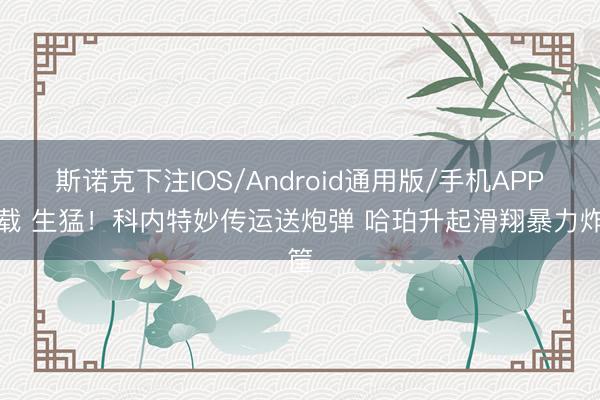 斯诺克下注IOS/Android通用版/手机APP下载 生猛！科内特妙传运送炮弹 哈珀升起滑翔暴力炸筐