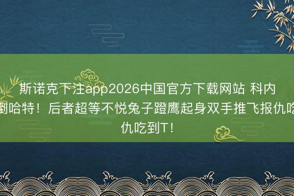 斯诺克下注app2026中国官方下载网站 科内特撞倒哈特！后者超等不悦兔子蹬鹰起身双手推飞报仇吃到T！