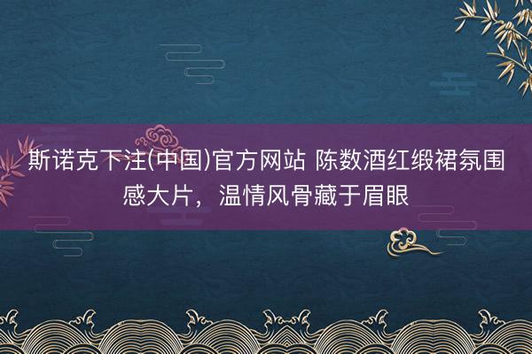 斯诺克下注(中国)官方网站 陈数酒红缎裙氛围感大片，温情风骨藏于眉眼