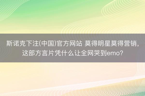 斯诺克下注(中国)官方网站 莫得明星莫得营销，这部方言片凭什么让全网哭到emo？
