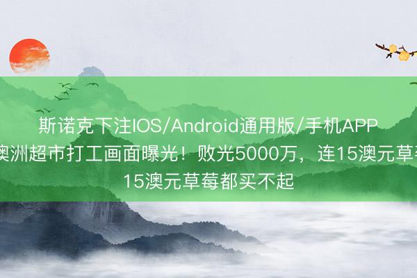 斯诺克下注IOS/Android通用版/手机APP下载 马蓉澳洲超市打工画面曝光!败光5000万,连15澳元草莓都买不起