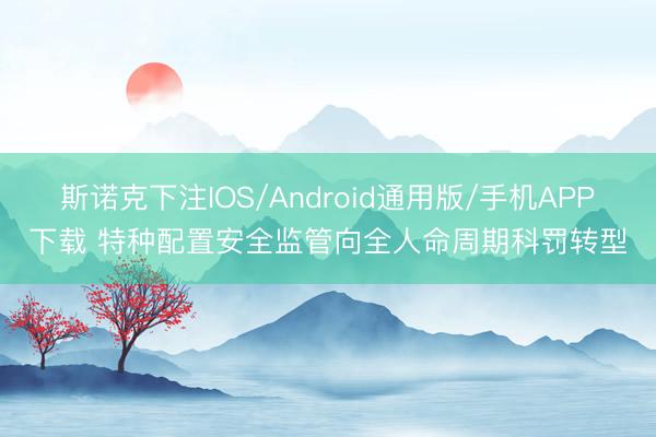 斯诺克下注IOS/Android通用版/手机APP下载 特种配置安全监管向全人命周期科罚转型